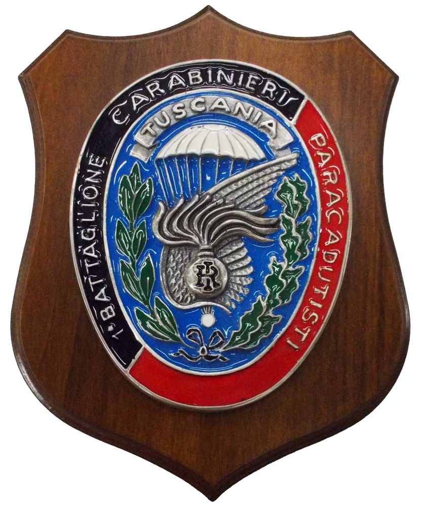 CREST CARABINIERI 1 BTG CC PARACADUTISTI TUSCANIA MIS CM 22,5X17,5