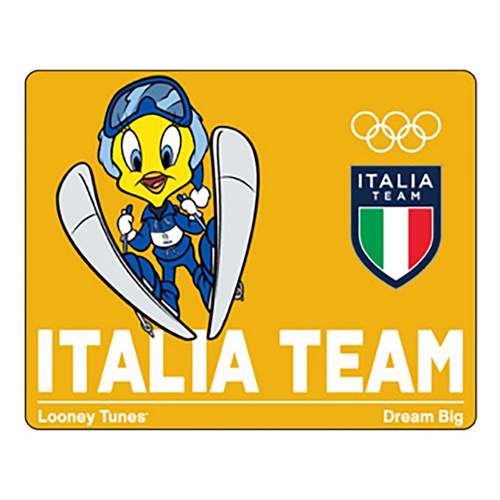 LT MC26ITALIA TEAM TWEETY ALPINE SKIER MAGNET
