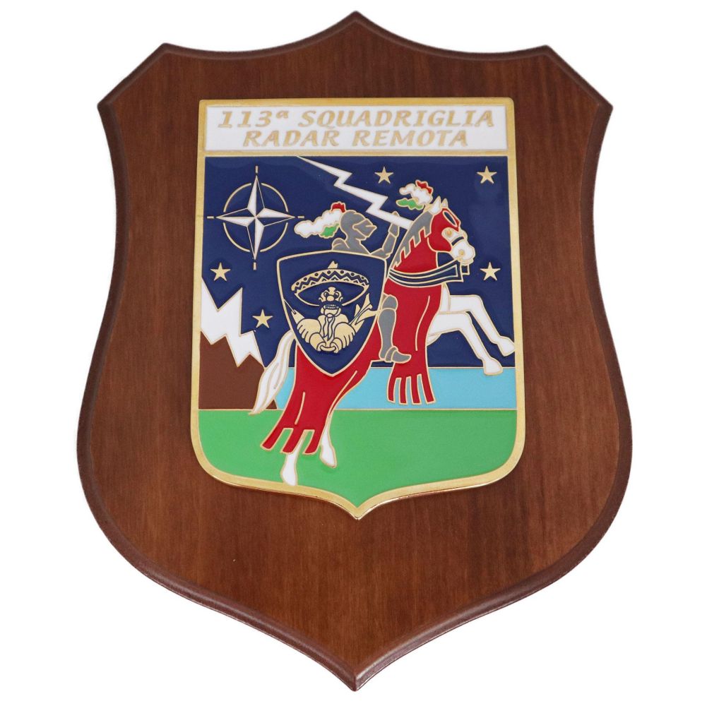 CREST IN METALLO SMALTATO BASE LEGNO CL3 22,50 X 17,50 113 SQUADRIGLIA R