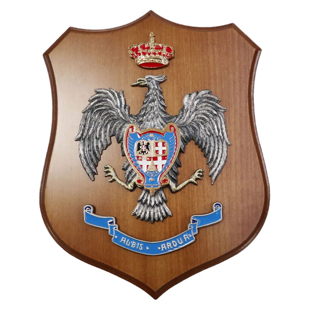 CREST IN METALLO SMALTATOLEGNO CL3 22 X 17 CM RGT LANCIERI NOVARA