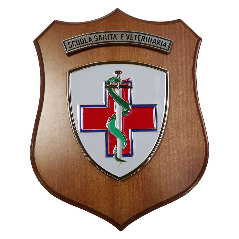 CREST IN METALLO SMALTATO LEGNO CL3 22 X 17 CM SCUOLA SANITA E VETERINAR