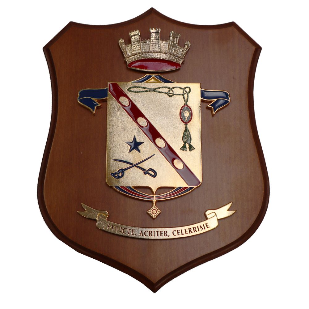 CREST IN METALLO SMALTATO LEGNO CL3 22 X 17 CM 28 BTG BERS OSLAVIA