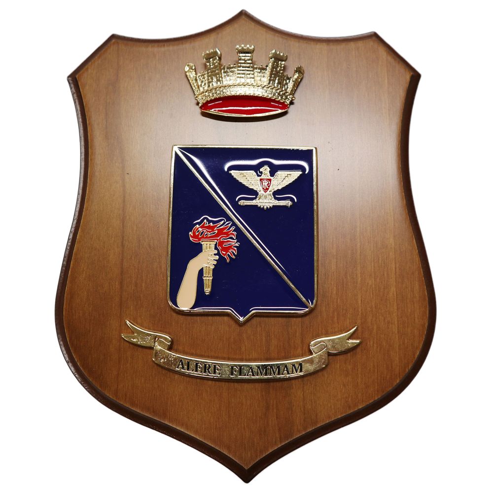 CREST IN METALLO SMALTATO LEGNO CL3 22 X 17 CM SCUOLA DI SIMULAZ VALIDAZ