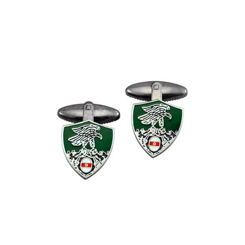 FORZE OPERATIVE E BRIGATE